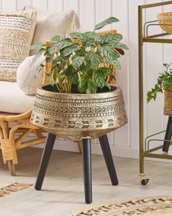 Clearance Beliani Vaso per piante rialzato VARDIANI 50 cm Oro Oro Nero