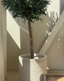 Sale Beliani Vaso per piante SAMOS 26 cm chiaro Beige