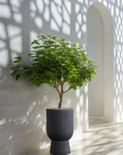 Sale Beliani Vaso per piante TAXODIUM 34 cm grafite Grigio