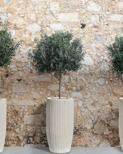 Discount Beliani Vaso per piante ZELKOVA 35 cm chiaro Beige