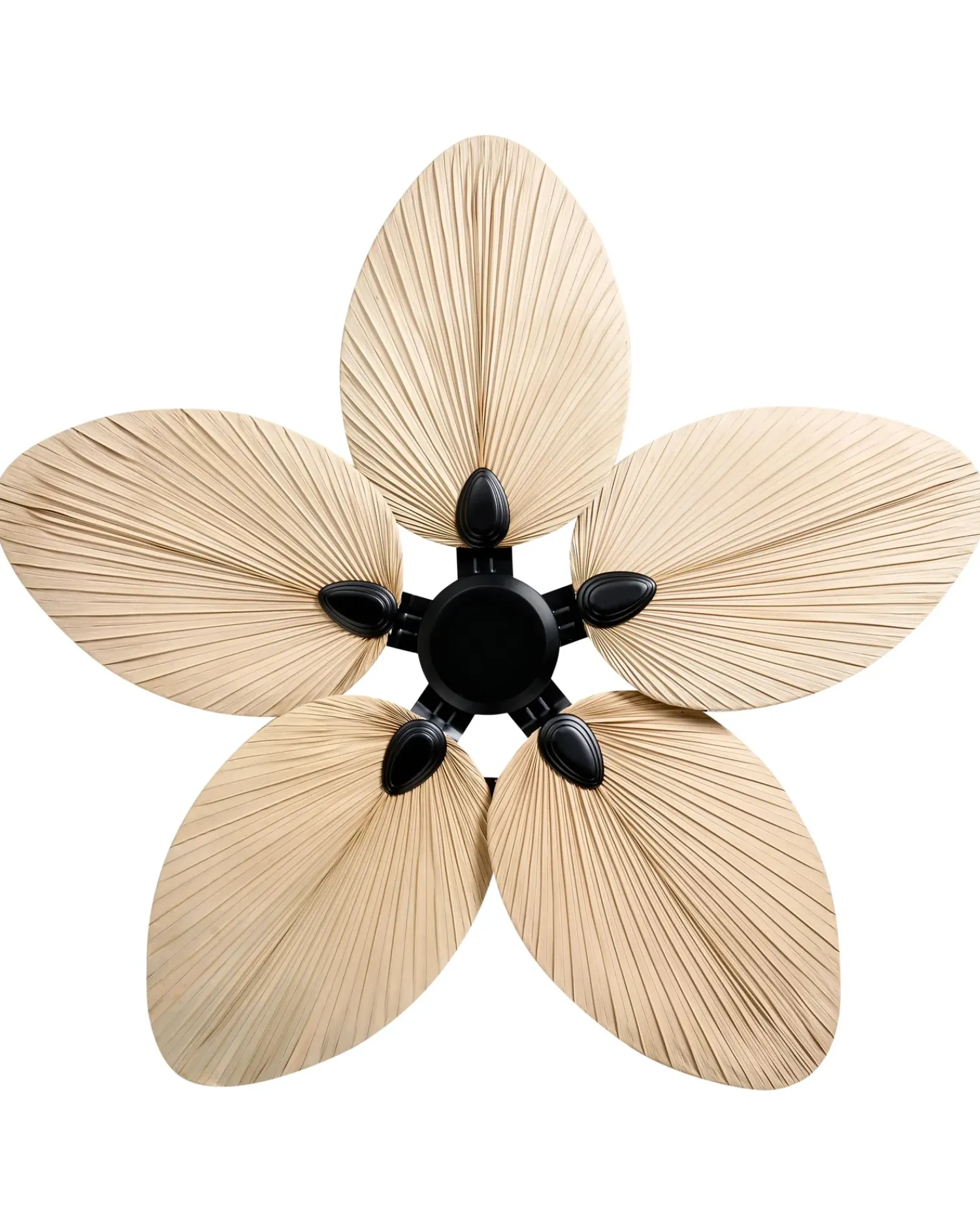 Sale Beliani Ventilatore a soffitto MAMMOTH con telecomando Naturale Naturale Nero