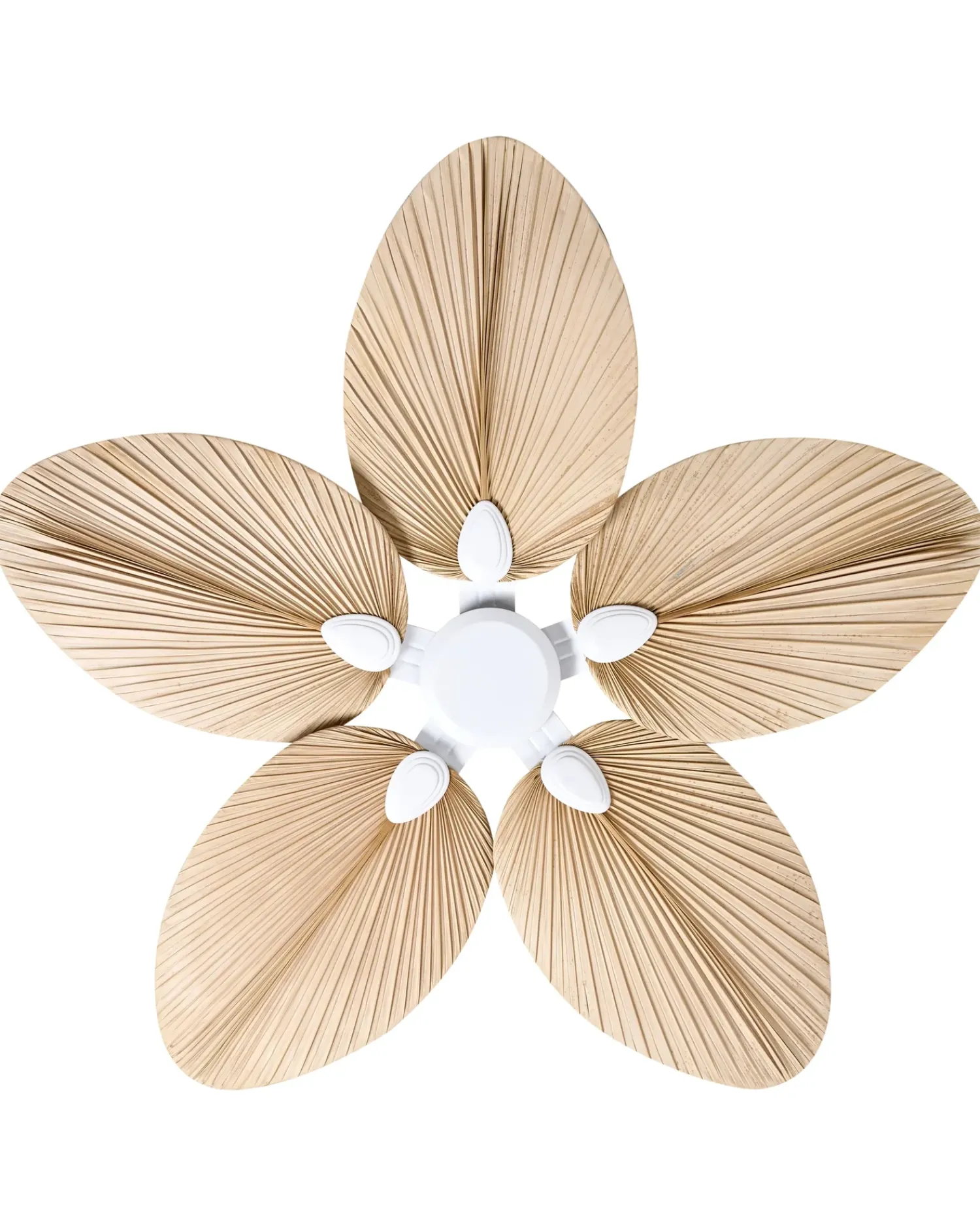 Online Beliani Ventilatore a soffitto MAMMOTH Naturale Bianco Naturale
