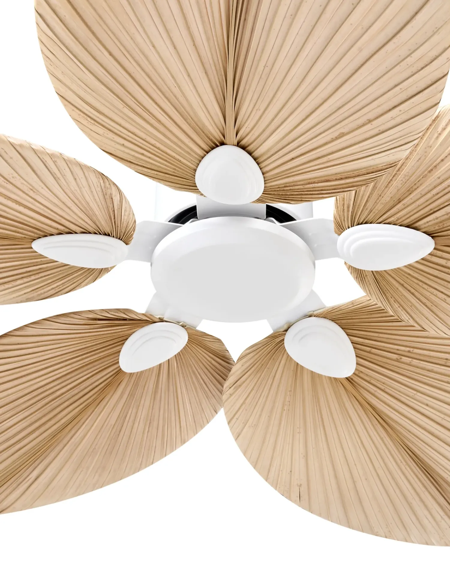Online Beliani Ventilatore a soffitto MAMMOTH Naturale Bianco Naturale